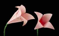 粉红色的花折纸黑色的孤立的