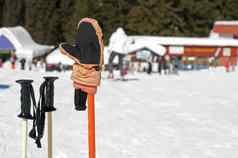 滑雪手套棒冬天游客背景