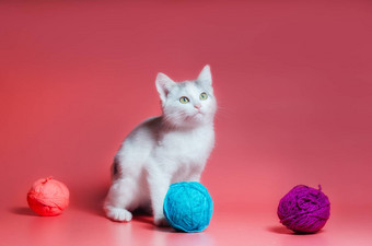 小猫多色的球羊毛线程粉红色的背景