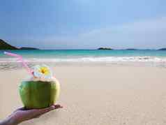 新鲜的椰子手plumeria装饰海滩海波背景旅游新鲜的水果海沙子太阳假期背景概念