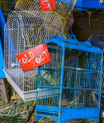鸟笼子里特写镜头出售标志宠物贸易亚洲动物商店背景