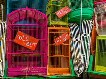 鸟笼子里出售迹象特写镜头宠物贸易亚洲动物业务背景