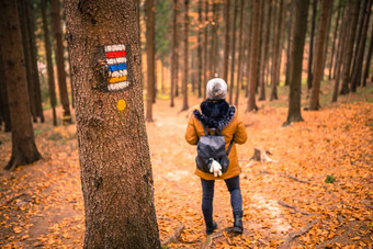 <strong>旅游标志</strong>马克树旅游路径女旅游背景不错的秋天场景福勒斯特小道