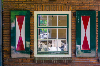 经典荷兰窗口框架房子体系结构荷兰乡村小屋背景