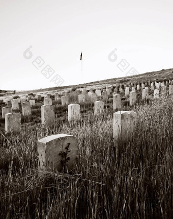 军事墓园博伊西爱达荷州
