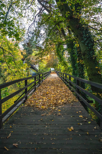 历史木桥公园包围秋天颜色多雾的早....下城堡告别