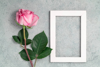 粉红色的玫瑰白色木框架混凝土表面模板设计问候卡前视图平躺