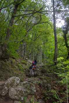 发现东部比利牛斯山夏天野生地区