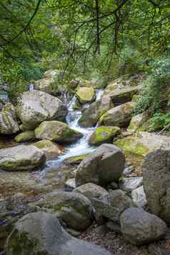 发现东部比利牛斯山夏天野生地区