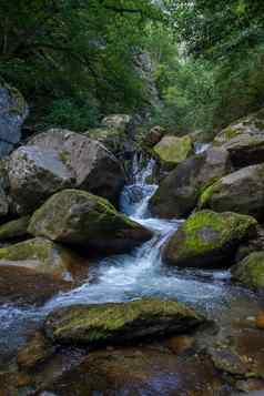 发现东部比利牛斯山夏天野生地区