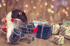 可爱的老鼠站购物车圣诞节一年的礼物象征一年一年老鼠一年购物概念