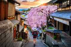 女人旅行者背包走历史这个区春天《京都议定书》日本