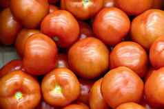 蔬菜完整的维生素新鲜的成熟的西红柿篮子超市架子上