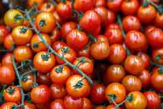 蔬菜完整的维生素新鲜的成熟的西红柿篮子超市架子上