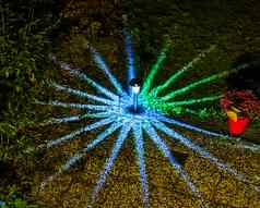 现代花园灯笼光灯闪亮的很酷的色彩斑斓的明星形状花园后院体系结构
