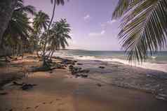 playa柠檬多米尼加共和国
