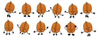 胡桃木大集可爱的坚果字符手眼睛卡通水果蔬菜素食主义者食物孤立的白色背景