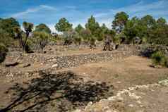 坎通纳普埃布拉墨西哥中美洲考古学网站游客