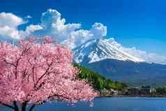 富士山樱桃花朵春天日本
