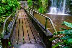 桥交叉湖瀑布热带丛林风景现代体系结构自然异国情调的花园