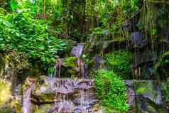 热气腾腾的水岩石丛林风景植物自然背景