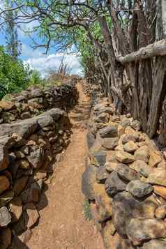 路径围墙村部落孔索埃塞俄比亚