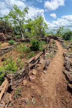 路径围墙村部落孔索埃塞俄比亚