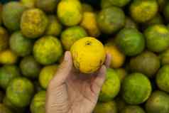 男人手持有绿色新鲜的成熟的绿色橘子很多绿色橘子背景食物概念热带异国情调的水果健康的维生素食物概念