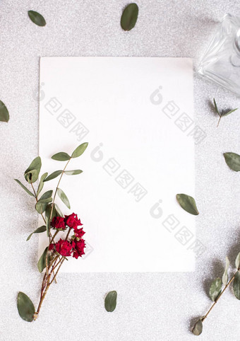 背景复制空间空白白色表格闪闪发光的心桉树分支花树叶白色纸前视图平躺最小的风格笨人卡