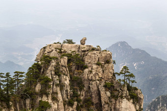 自然猴子石头雕像黄色的山