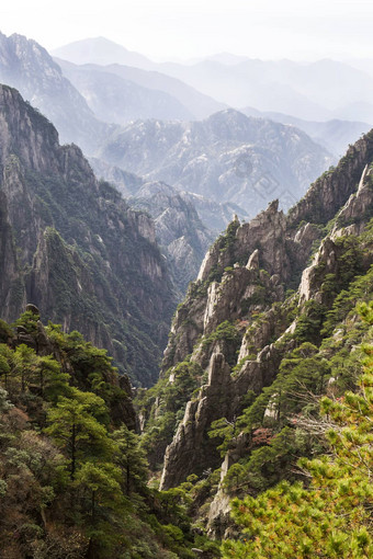 黄色的山谷中国