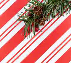 圣诞节条纹模式冷杉树分支假期引入