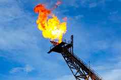 燃烧火炬火炬植物燃烧自然气体石油平台