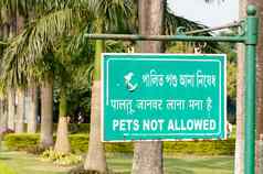 宠物允许标志董事会公园花园宠物允许标志董事会许可概念背景