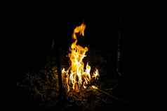 火火焰黑暗图像篝火晚上孤立的黑色的背景