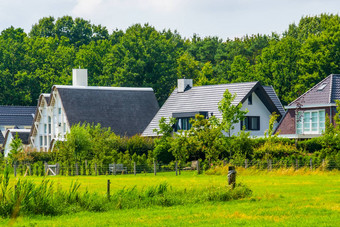 现代农村房子草牧场典型的荷兰房子卑尔根变焦荷兰