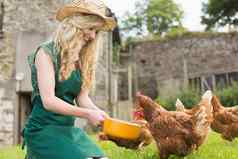 年轻的女人喂养鸡