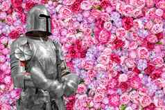 花背景美丽的粉红色的牡丹中世纪的骑士护甲浪漫的骑士的图片