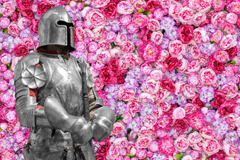 花背景美丽的粉红色的牡丹中世纪的<strong>骑士</strong>护甲浪漫的<strong>骑士</strong>的图片