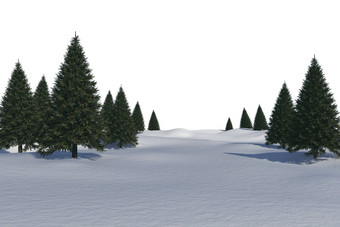 白色雪景观树