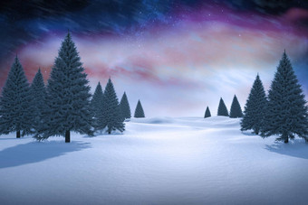 复合图像<strong>白色雪景</strong>观冷杉树