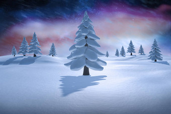 复合图像白色雪景观冷杉树