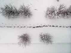 空中照片雪路径的足迹左雪冬天布加勒斯特罗马尼亚