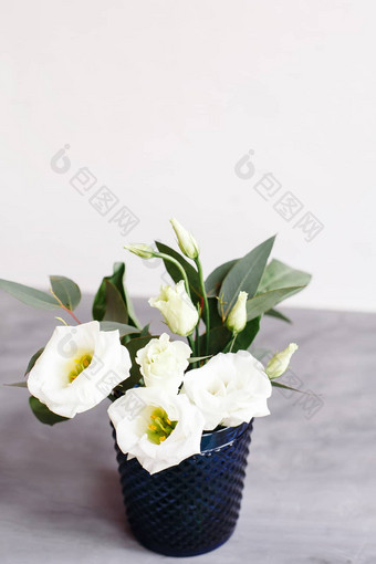 白色花经典蓝色的玻璃<strong>桔梗</strong>eustoma