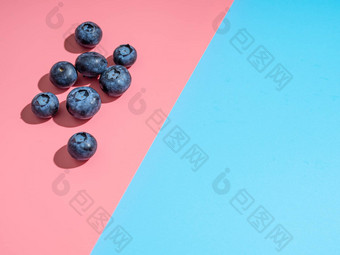 蓝莓粉红色的蓝色的背景复制空间