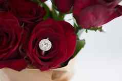 钻石环红色的玫瑰