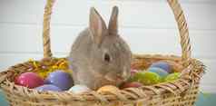 色彩斑斓的复活节鸡蛋复活节兔子柳条篮子
