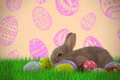 复合图像棕色（的）兔子色彩斑斓的复活节蛋