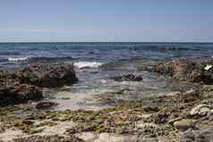 岩石海滩多米尼加共和国