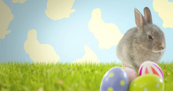 复活节兔子鸡蛋前面模式